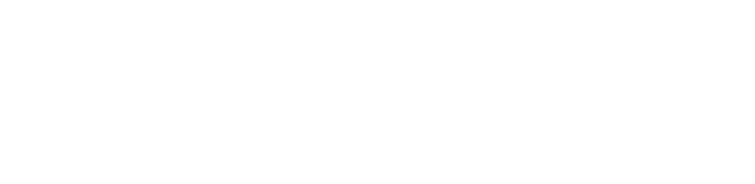 logo light